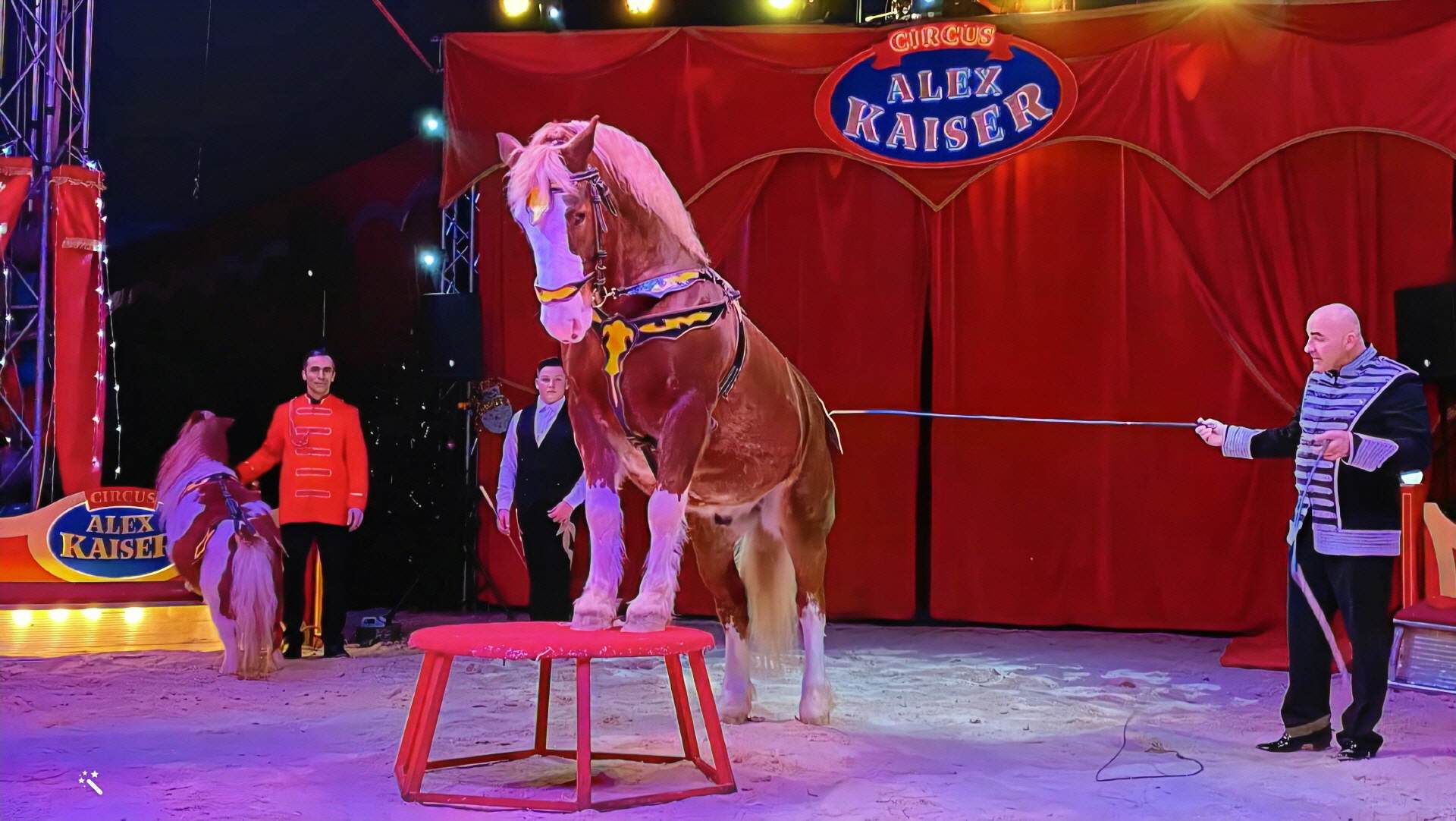 Archiv – Aufnahme aus der Circus-Fotogalerie