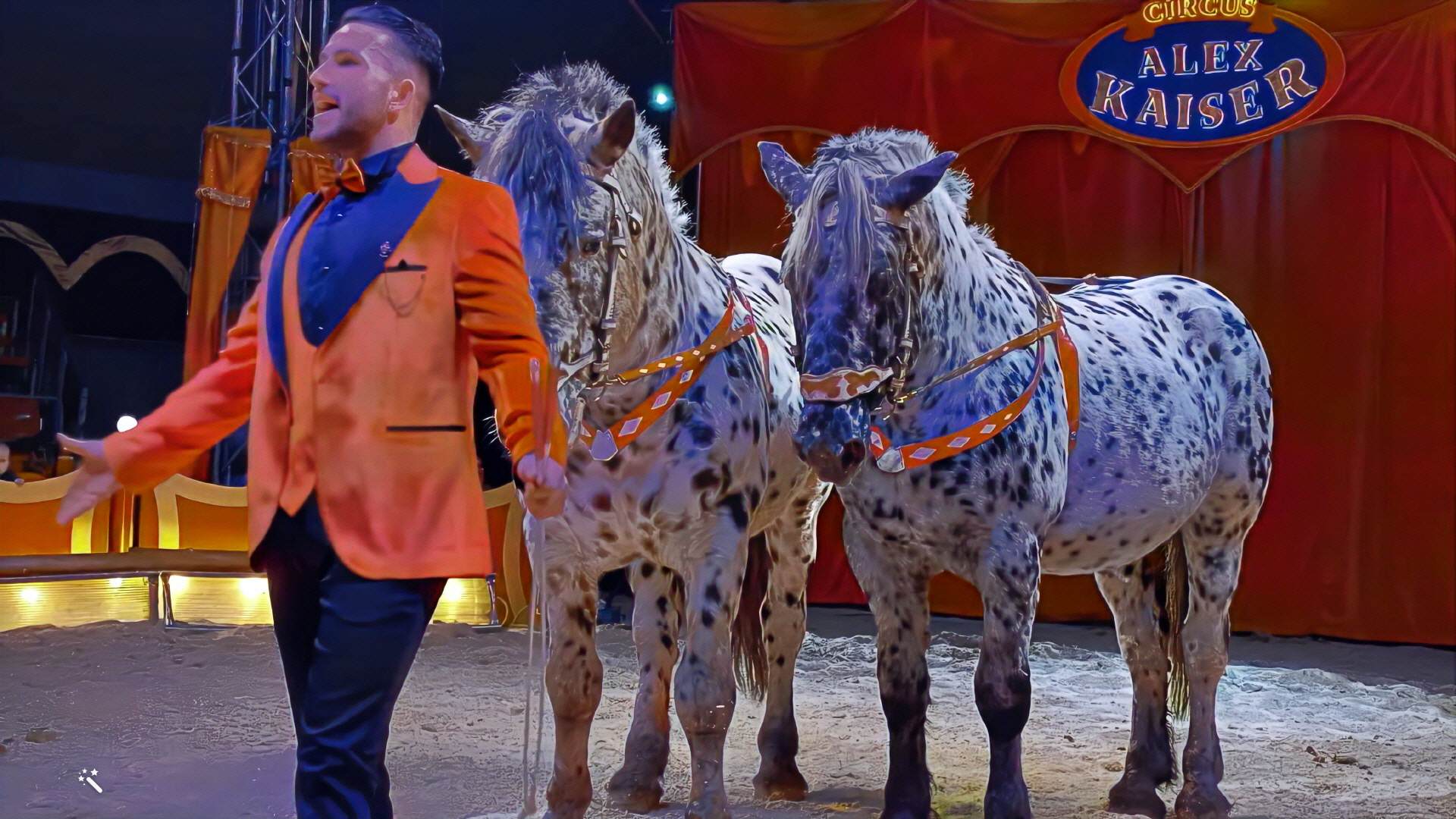 Archiv – Aufnahme aus der Circus-Fotogalerie