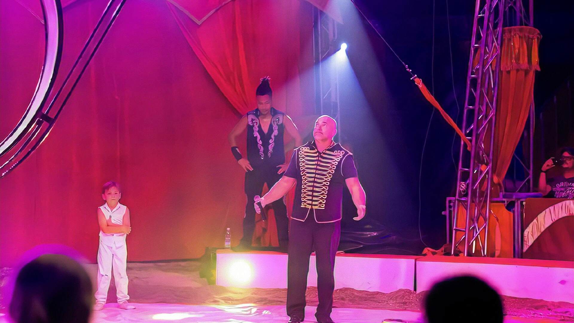 Clowns gemeinsam in der Manege